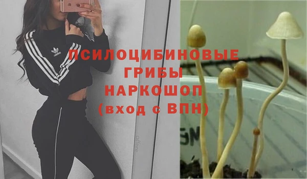 гашишное масло Белокуриха